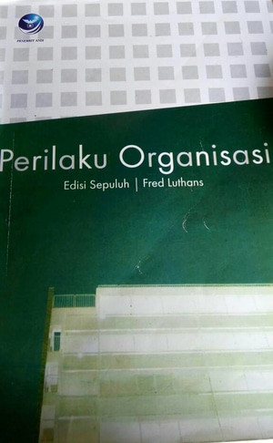 Perilaku Organisasi