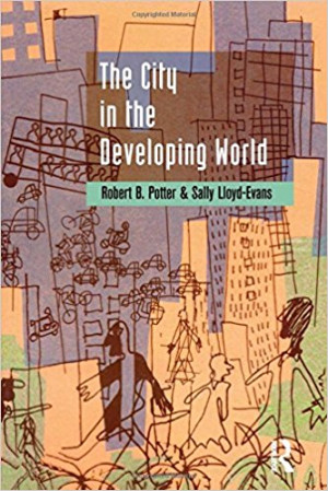 The City in the Developing World