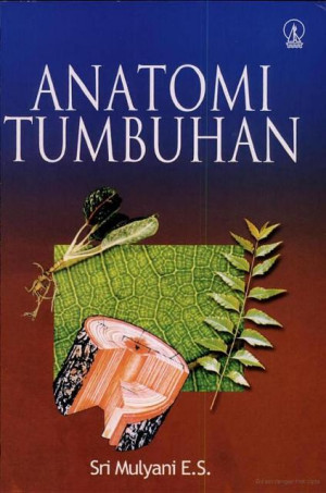 Anatomi Tumbuhan